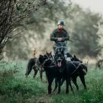 Vendeghaz A Csabay Kuriahoz בית הארחה 4*