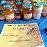Vendeghaz A Csabay Kuriahoz 4* Lakitelek