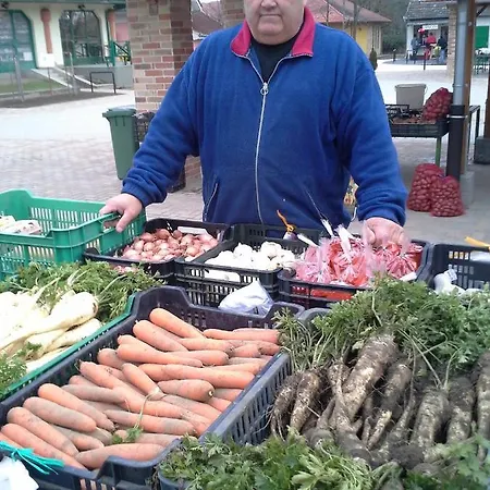 Vendeghaz A Csabay Kuriahoz 4* Lakitelek