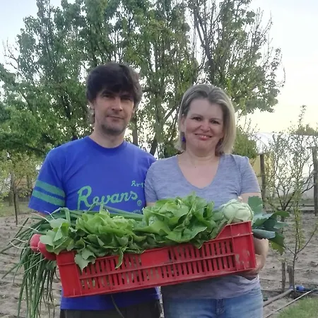 Konukevi Vendeghaz A Csabay Kuriahoz