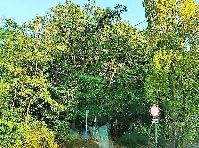 Vendeghaz A Csabay Kuriahoz 4* Lakitelek