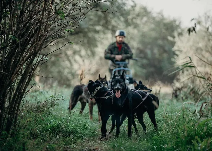 Vendeghaz A Csabay Kuriahoz Penzion 4*