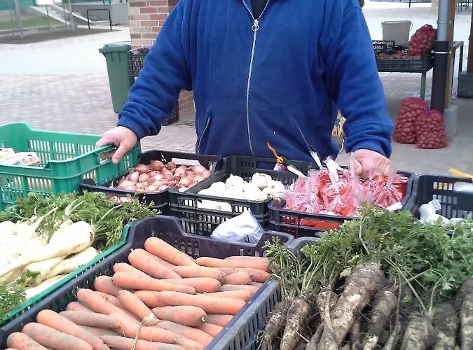 Vendeghaz A Csabay Kuriahoz 4* Lakitelek